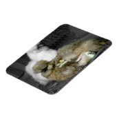 Silkie Hens met kippen die uit veren pieken Magneet (Linkerzijde)