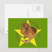 Silkie Red Chick Star Briefkaart (Voorkant / Achterkant)