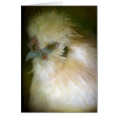 Silkie Rooster (Voorkant)