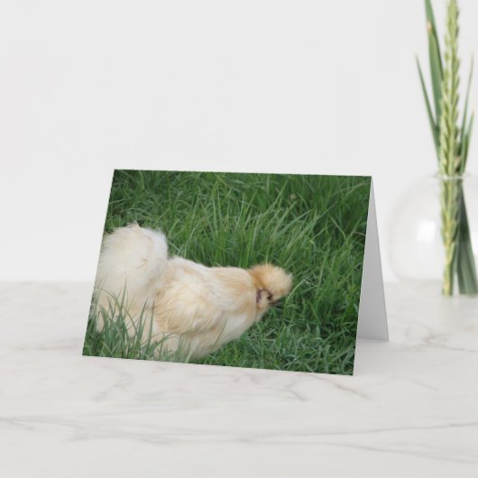 Silkie Rooster Kaart (Voorkant)