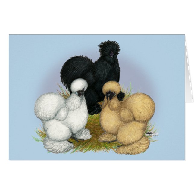 Silkie Trio (Voorkant Horizontaal)