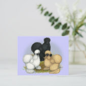 Silkie Trio Briefkaart (Staand voorkant)