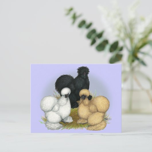 Silkie Trio Briefkaart (Staand voorkant)