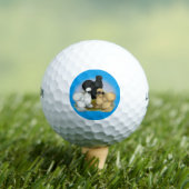 Silkie Trio Golfballen (Insitu Shirt)