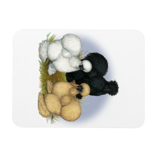 Silkie Trio Magneet (Horizontaal)