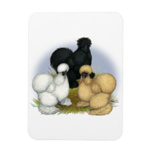 Silkie Trio Magneet