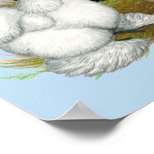 Silkie Trio Poster (Hoek)