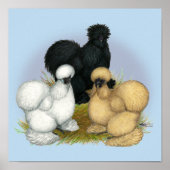 Silkie Trio Poster (Voorkant)