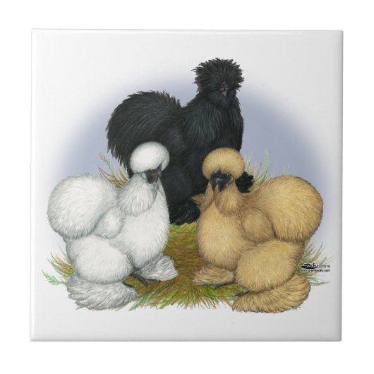 Silkie Trio Tegeltje (Voorkant)