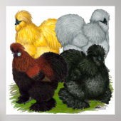 Silkies: Assorteermachines Poster (Voorkant)