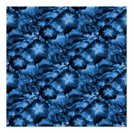 Silky Blue... Perfect Poster (Voorkant)