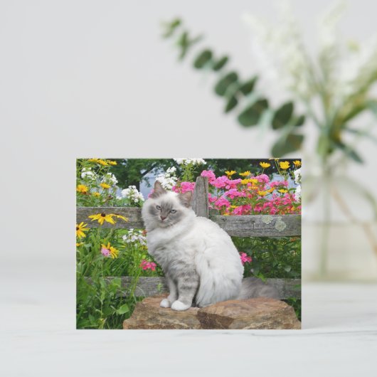 "Silky"-Briefkaart Briefkaart (Staand voorkant)