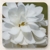 Silky Magnolia Bier Onderzetter (Voorkant)