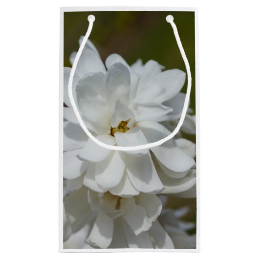 Silky Magnolia Klein Cadeauzakje (Achterkant)