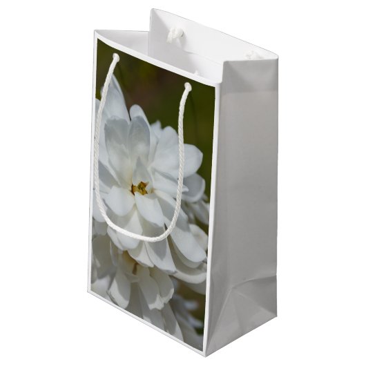 Silky Magnolia Klein Cadeauzakje (Achterkant Gekanteld)