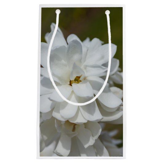 Silky Magnolia Klein Cadeauzakje (Voorkant)