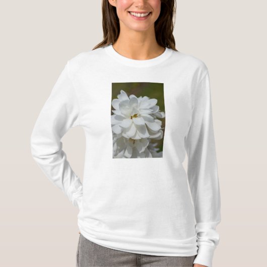 Silky Magnolia Long Sleeve T-Shirt (Voorkant)