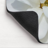 Silky Magnolia Muismat (Hoek)