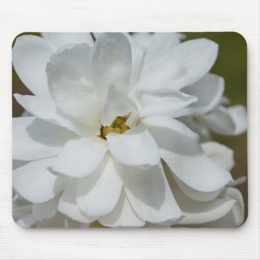 Silky Magnolia Muismat (Voorkant)