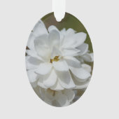 Silky Magnolia Ornament (voorkant)