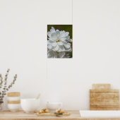 Silky Magnolia Poster (Keuken)