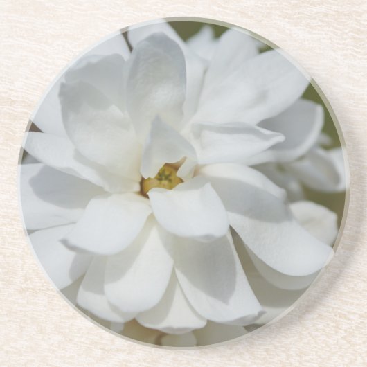Silky Magnolia Zandsteen Onderzetter (Voorkant)