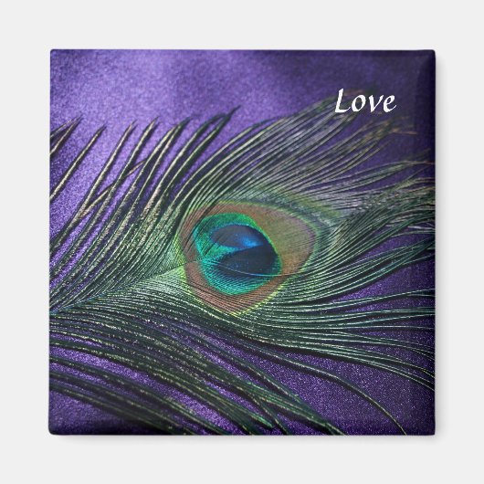 Silky Paarse Peacock Feather Magneet (Voorkant)