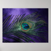 Silky Paarse Peacock Feather Poster (Voorkant)