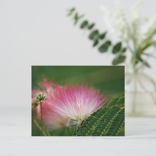 Silky Pink Mimosa Briefkaart (Staand voorkant)