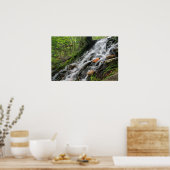 Silky Roots Forest Cascade Poster (Keuken)