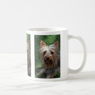 Silky Speelgoed Terrier Koffiemok
