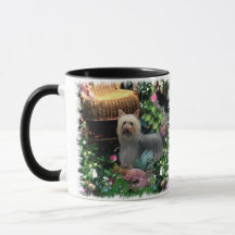Silky Terrier Art Gifts