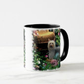 Silky Terrier Art Gifts Mok (Voorkant rechts)