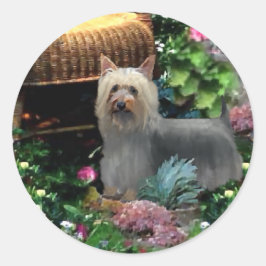 Silky Terrier Art Gifts Ronde Sticker