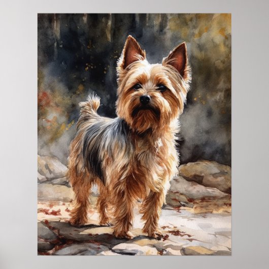 Silky Terrier Dog Art Print Poster (Voorkant)