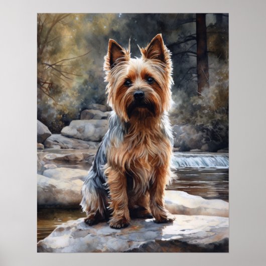 Silky Terrier Dog Art Print Poster (Voorkant)