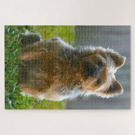 Silky Terrier Dog Jigsaws. Legpuzzel (Horizontaal)