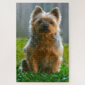 Silky Terrier Dog Jigsaws. Legpuzzel (Verticaal)