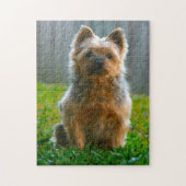 Silky Terrier Dog Jigsaws. Legpuzzel (Verticaal)