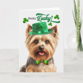 Silky Terrier Feelin' Lucky St Patrick's Day Feestdagen Kaart (Voorkant)