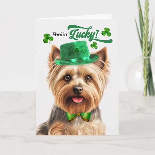 Silky Terrier Feelin' Lucky St Patrick's Day Feestdagen Kaart (Voorkant)