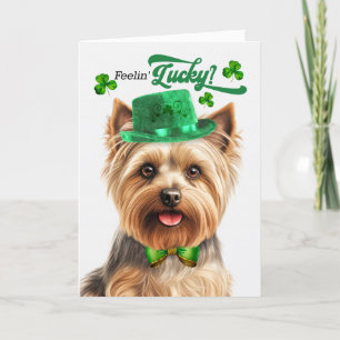Silky Terrier Feelin' Lucky St Patrick's Day Feestdagen Kaart