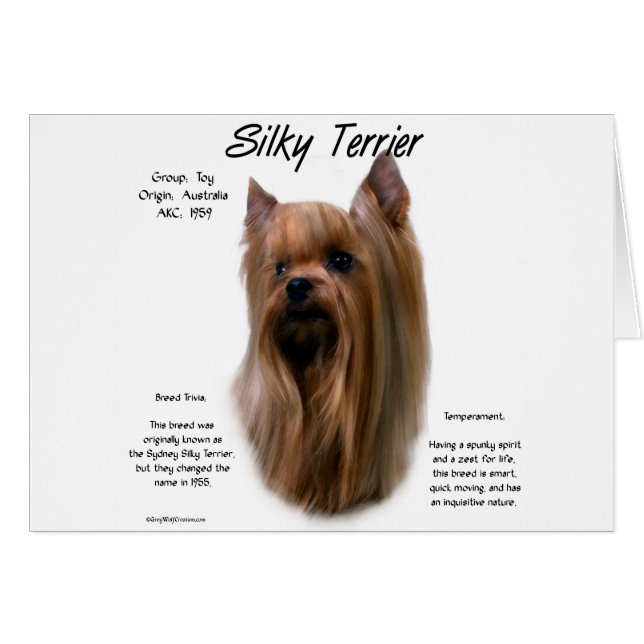 Silky Terrier History-ontwerp (Voorkant Horizontaal)