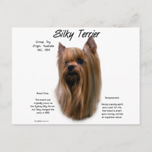 Silky Terrier History-ontwerp Briefkaart
