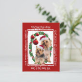 Silky Terrier Kerstknuffels en Kusjes Briefkaart (Staand voorkant)
