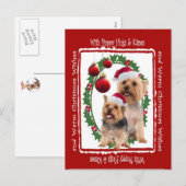 Silky Terrier Kerstknuffels en Kusjes Briefkaart (Voorkant / Achterkant)