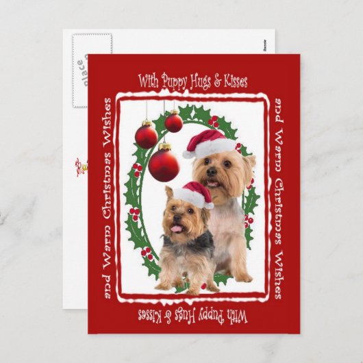 Silky Terrier Kerstknuffels en Kusjes Briefkaart (Voorkant / Achterkant)