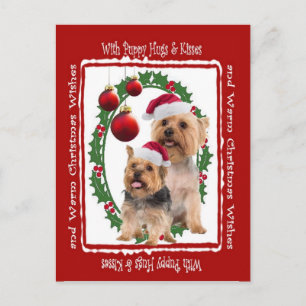 Silky Terrier Kerstknuffels en Kusjes Briefkaart