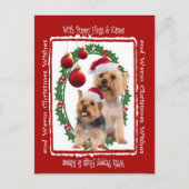 Silky Terrier Kerstknuffels en Kusjes Briefkaart (Voorkant)
