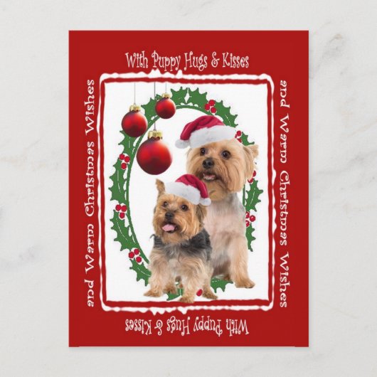 Silky Terrier Kerstknuffels en Kusjes Briefkaart (Voorkant)